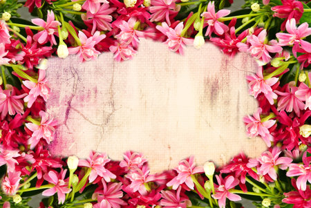 pink flower border and frame in vintage color for valentine background and wedding cardの写真素材