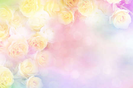 yellow rose flower frame vintage color filters, background for valentine or wedding cardの写真素材