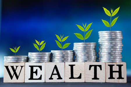 money growing, tree on coins with word wealth ,business concept backgroundの写真素材