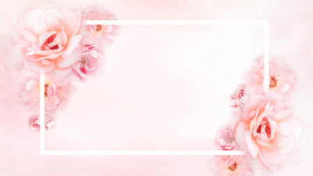 pink roses  flower frame with white square stroke and copy space for any special invitation cardの写真素材