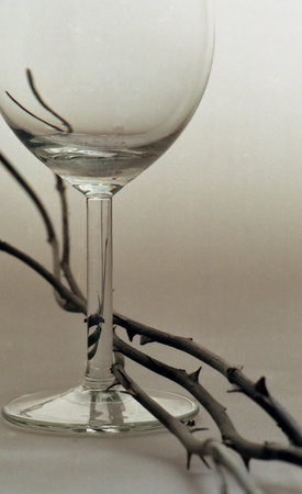 Wine  glass
