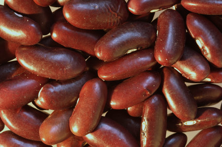 Bean