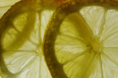 Lemonの写真素材