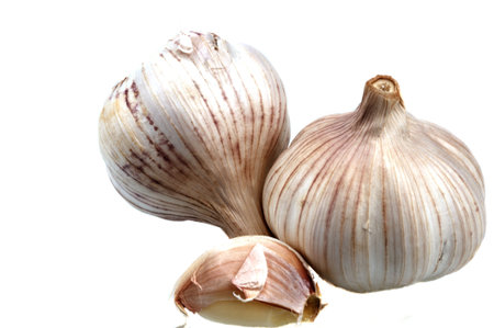 Garlic on a white background