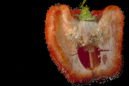 Paprika in water with bubbles on a black background
