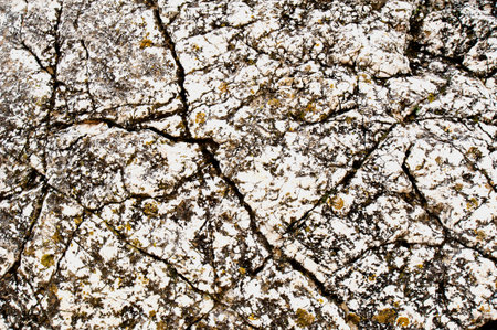 Gray stone of a rock texture の写真素材