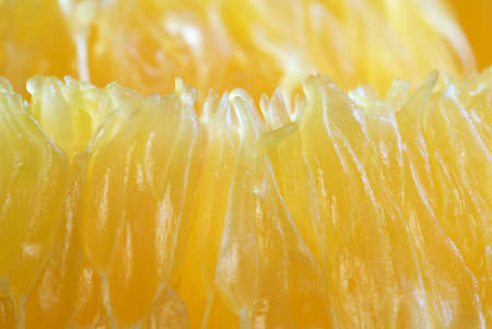 Slice orange texture close-up の写真素材