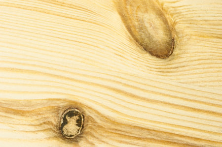 Wood textureの写真素材