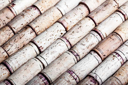 Wine corksの写真素材