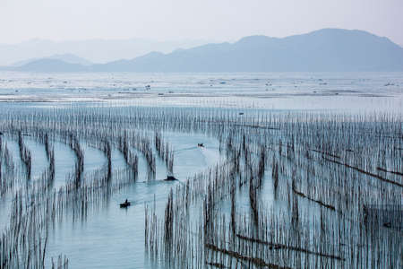 Scenery at beach of Xiapu, Fujianの写真素材
