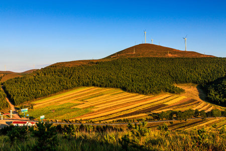Guyuan scenery