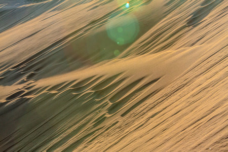 Desert rippleの写真素材