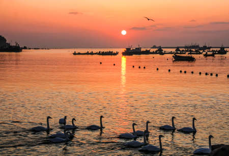 Yan Dun Jiao Lake sceneryの写真素材
