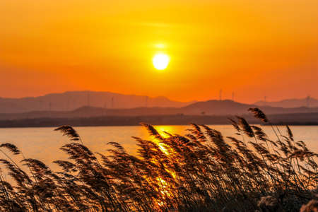 Golden raysの写真素材