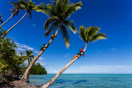 children on the palm treesのeditorial素材