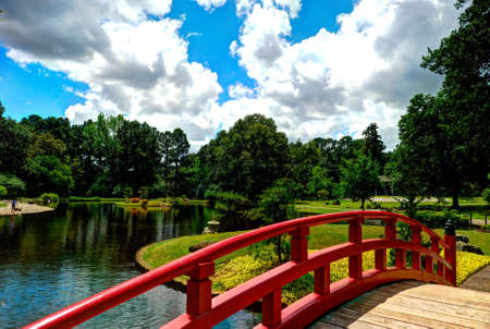 Spring in Memphisの写真素材