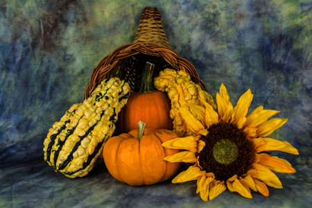 display of falwiwth squash, pumpkinsand sunflower