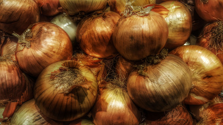 onions stacked on each otherの写真素材