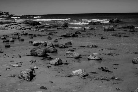 low tide at an beach done in black and white