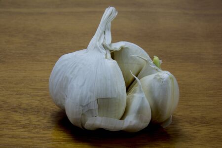garlic,の写真素材