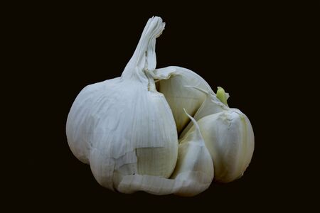 garlic on black back groundの写真素材