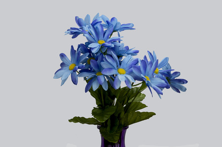 blue flowers against an off white back groundの写真素材