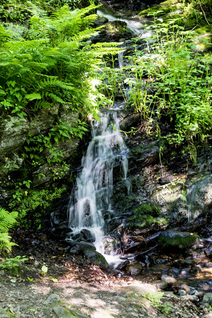 an water fall in the forest of new england.の写真素材