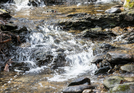 water cascading in a stream