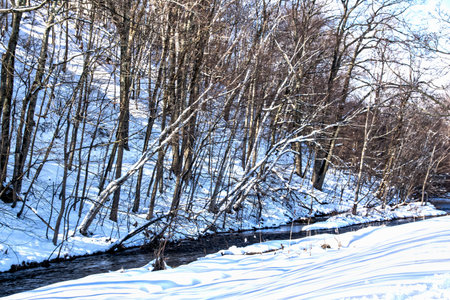 morning sun hitting the winter landscape