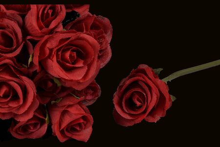roses on a black back groundの写真素材