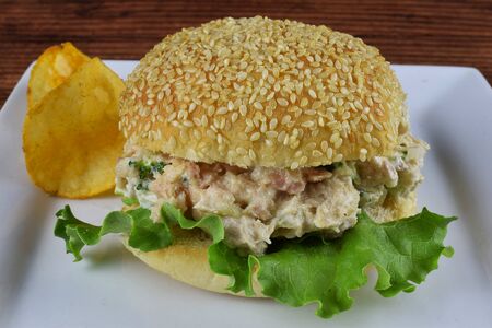 tuna  fish on a bun wit potato chipsの写真素材
