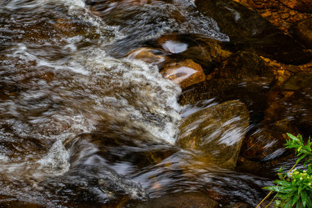 water in motion at willard brook  in willard brooke state forestの写真素材