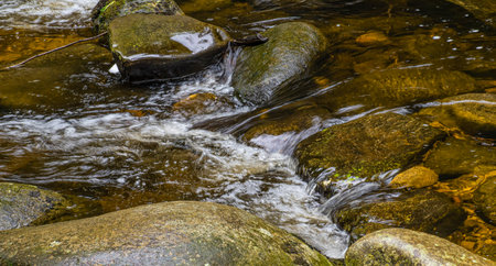 water in motion in central massachusetts  after a heavy rain.