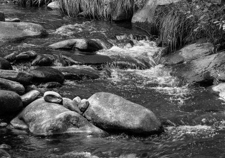 willard brook  traveling through willard brook state  forest in townsend massachusettsの写真素材