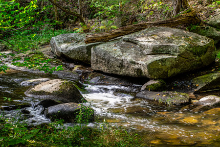water flowing over rocks at willard brook state forest in townsendの写真素材