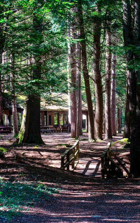 paviilion in the woods of otter river state forest in templton massachusettsの写真素材