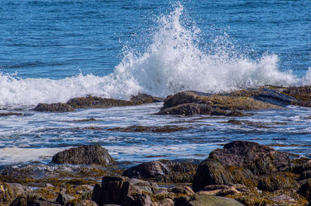 ocean waves crashing against the rocks  at the coast of new englandの写真素材