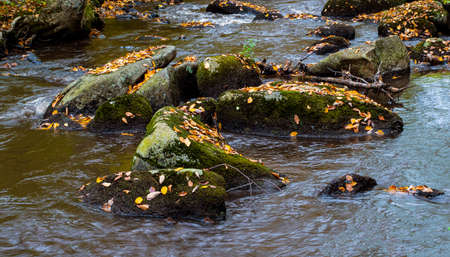autumn leaves cover the rocks at willard brook in ashby massachusettsの写真素材