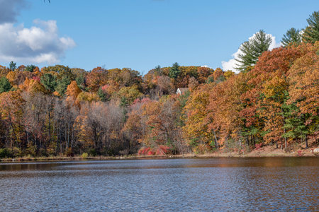 autumn  colburn pond in barrett park in leominster massachusett.の写真素材