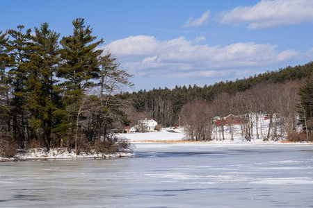 winter landscape  by the ponds edge in new england