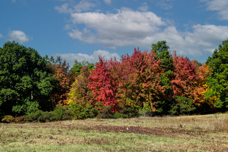 touch of autumn  at the quabbin reservior  in  belcher town massachusettsの写真素材