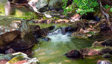 water cascading over rocks in a sttream  flowing through the wildernessの写真素材