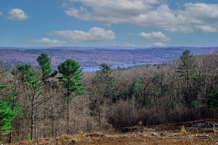 the quabbin resservior  from the  highway  in early novemberの写真素材