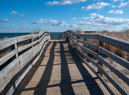 the boardwalk  at parker river national wild life refuge in newbury on a december dayの写真素材