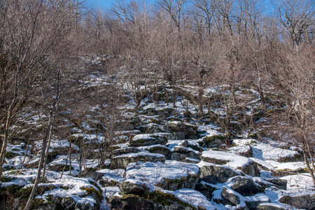 the snow  covered  rocky landscape of wachusett mountain in princeton massacusetts,の写真素材