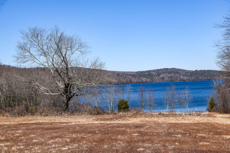 the landscape of the quabbin reservoir  on a spirng after noonの写真素材