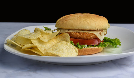 chicken patty sandwich served with   potato chips,の写真素材