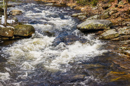 cascading water   of willard brook in willard brook state forest in ashby massachusettsの写真素材