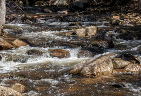 water of willard brook  cascading through willard brook state forestの写真素材