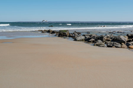 view  othe ocean from  plum island  in newburyport massachusettsの写真素材